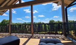 Balkongeländer Wald 3